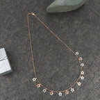 Product image [03-13.jpg]
