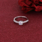 Product image [054-1.jpg]