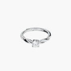 Product image [061-10.jpg]