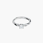 Product image [061-10.jpg]