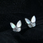 Product image [106-2-1.jpg]