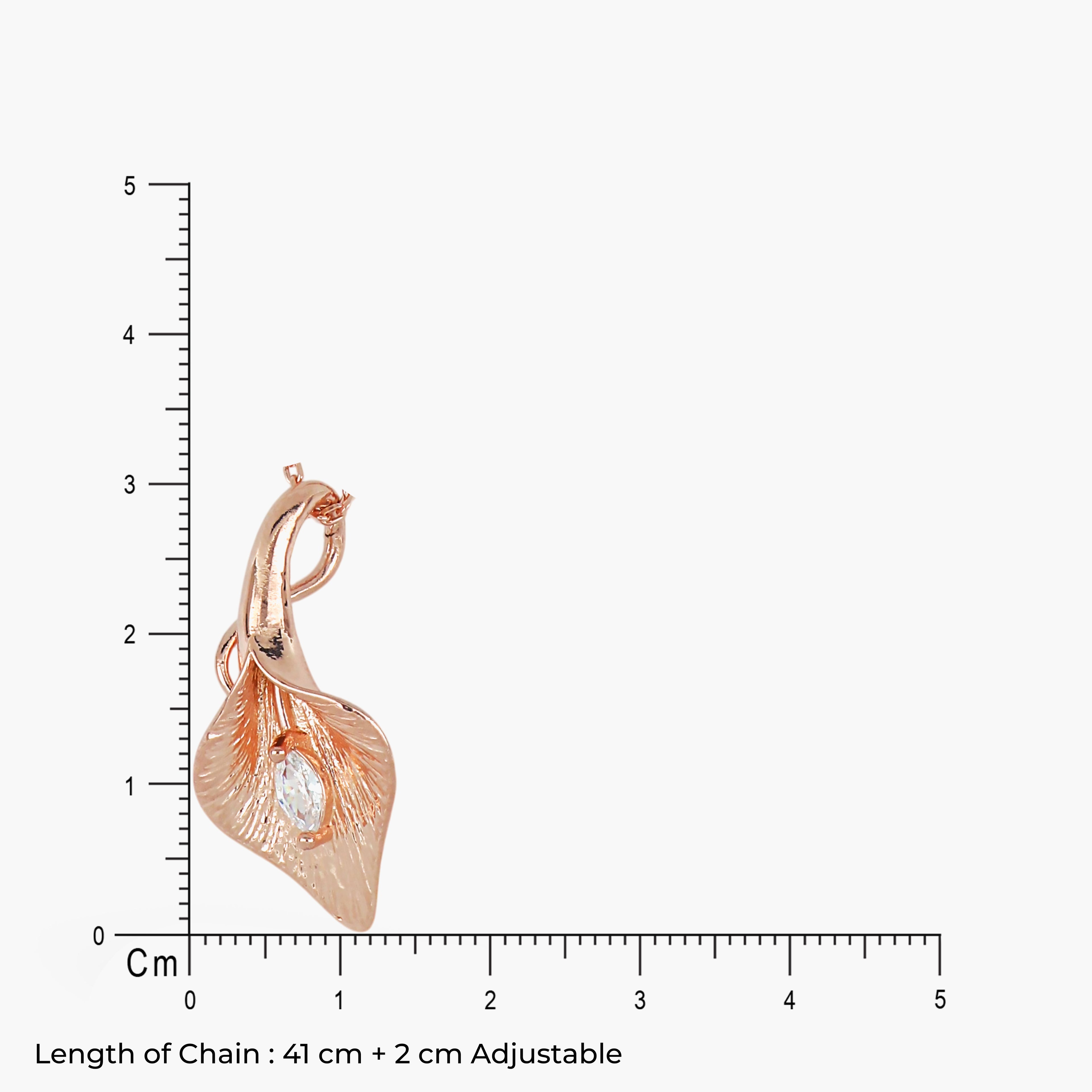 Product image [116-3-3.jpg]
