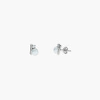 Product image [12-3-2.jpg]