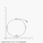 Product image [120-4.jpg]