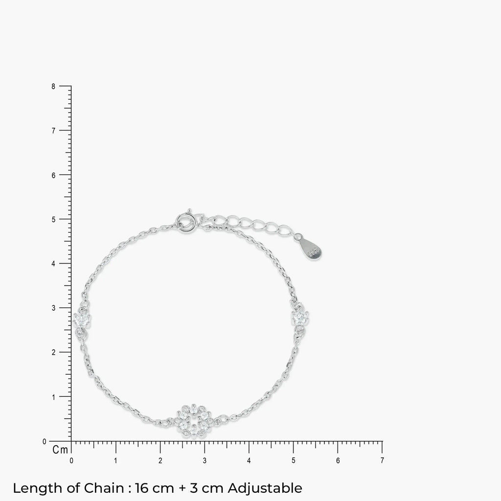 Product image [120-4.jpg]