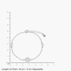 Product image [120-4.jpg]