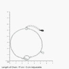 Product image [121-4-0.jpg]