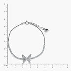 Product image [204-1.jpg]