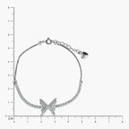 Product image [204-1.jpg]