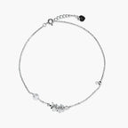 Product image [211.jpg]