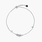 Product image [211.jpg]