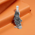 Product image [22-2-6.jpg]
