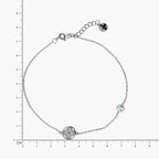 Product image [22-3-1.jpg]