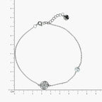 Product image [22-3-1.jpg]