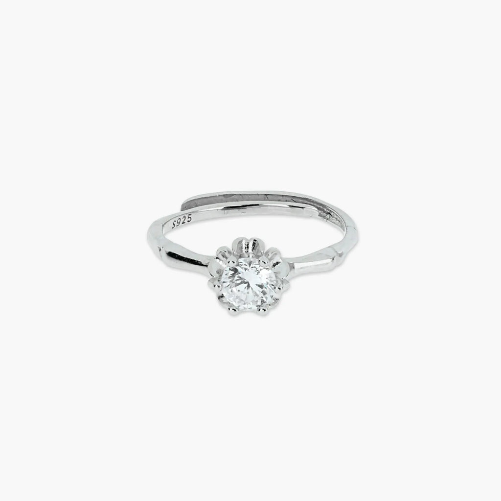 Product image [47-3.jpg]