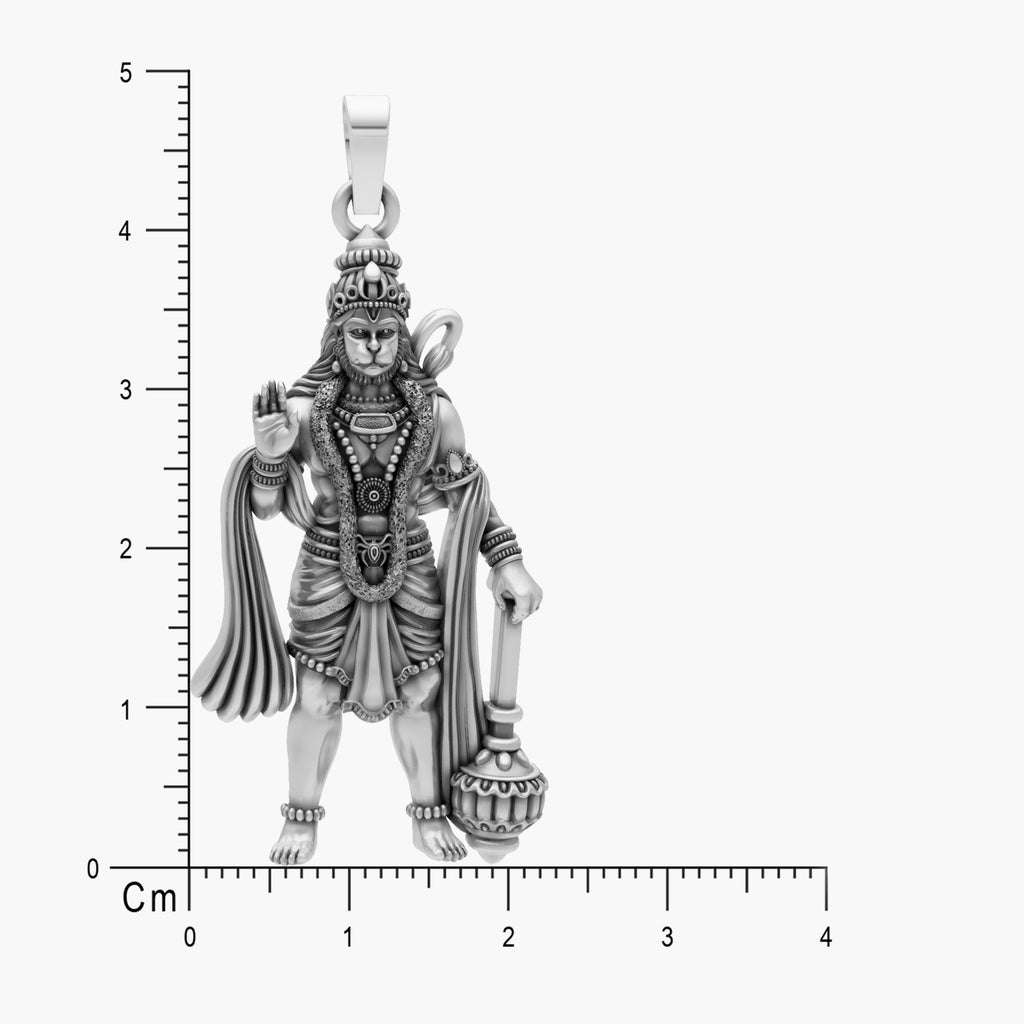 Product image [48-4-1.jpg]
