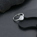 Product image [49-2-1.jpg]