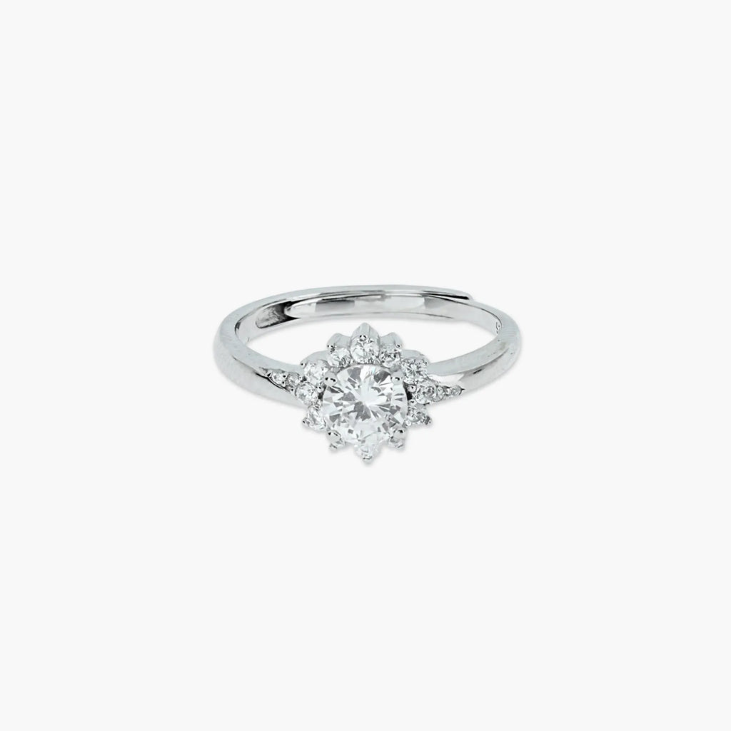 Product image [49-4-0.jpg]