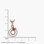 Product image [60-4-2.jpg]