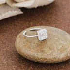 Product image [66-2-1.jpg]