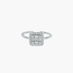 Product image [66-3-0.jpg]