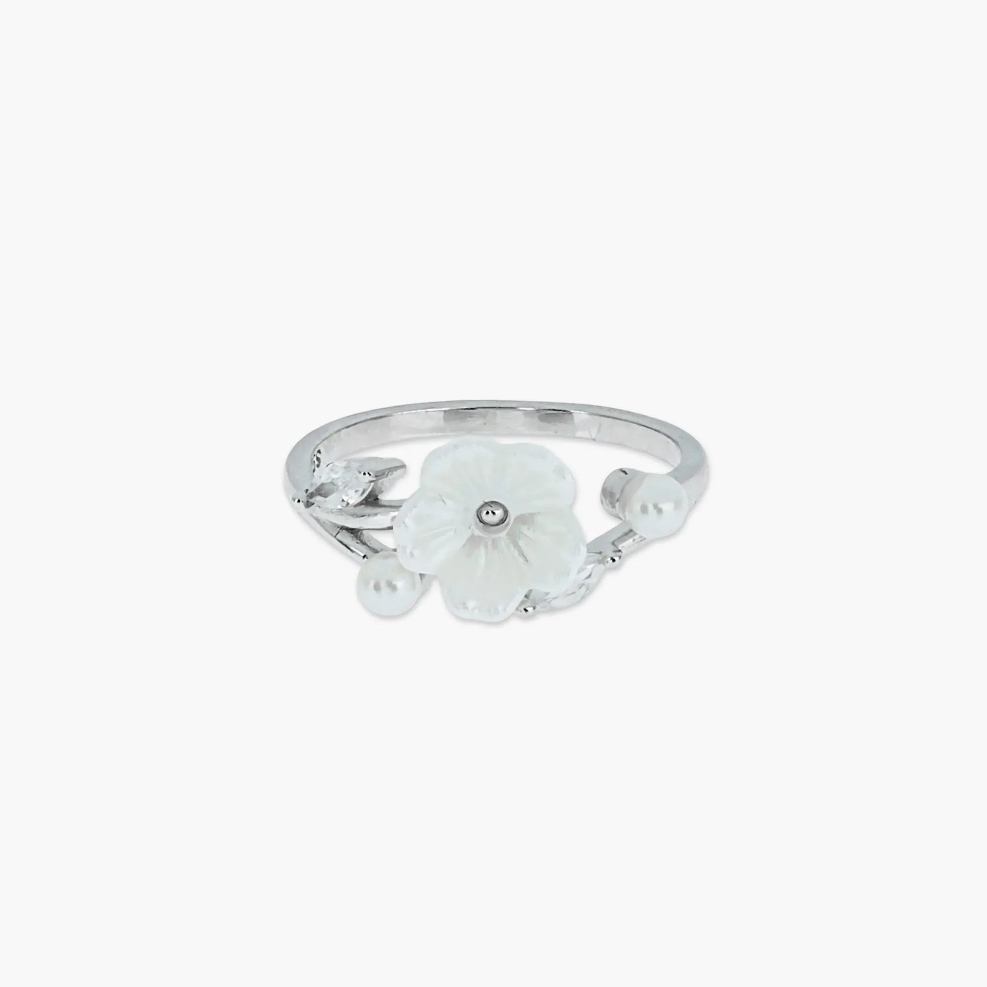 Product image [69-4-0.jpg]