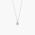 Product image [83-3-2.jpg]