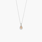 Product image [84-3-1.jpg]