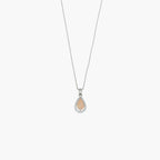 Product image [84-3-1.jpg]