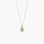 Product image [85-3-1.jpg]